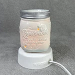Scentsy Chasing Fireflies Ceramic Blue Mason Jar Wax Warmer And Bulb By Heidi. Fixed Price $15.00.