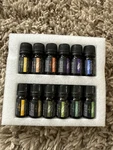 12 Count Anjou Pure Essential Oils Set Aromatherapy Sampler Kit X 5 Ml New. Fixed Price $24.00.
