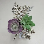 (1) Bath & Body Works Modern Succulents Plants Wallflowers Plug In Unit. Fixed Price $11.99.