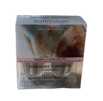 1 Pk. Of 2 Bath & Body Works Mahogany Teakwood Fragrance Wallflowers Refills New. Fixed Price $15.00.