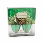 Bath & Body Works Evergreen Wallflowers Refill 2-PACK Fragrance Plug Nib. Fixed Price $12.00.