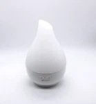 Sparoom Varimist Essential Oil Diffuser White. Fixed Price $19.90.