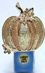 Bath & Body Works Autumn Fall Harvest Golden Pumpkin Light Up Wallflower Plugin. Fixed Price $29.99.