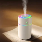 230ML Aromatherapy Diffuser Humidifier Essential Oil Air Purifier Home Car Sleep. Fixed Price $19.99.