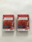 Scentsationals Scented Wax Cubes Autumn Air It's Weather 5.0 Oz Value Pack (X2). Fixed Price $14.95.