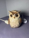 Star Moon Owl Electric Ceramic Wax Melt Warmer. Fixed Price $26.99.