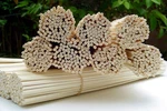 100 Pcs Rattan Naturalgold Reed Diffuser High Quality Replacement Sticks 10"X3MM. Fixed Price $8.29.