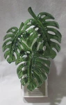 Bath & Body Works Wallflower Fragrance Plug Sparkly Monstera Leaves Scent 24/7. Fixed Price $50.66.