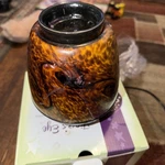 Scentsy Tiger's Eye Warmer Color Changing Led Hand Blown Art Glass Retired 31779. Fixed Price $25.00.