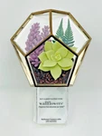 Bath & Body Works Succulent Plant Terrarium Wallflower Plug In New. Fixed Price $24.99.