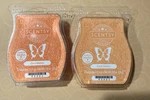 Scentsy Lot Of 2 New Bars Coral Waters Ships Free. Fixed Price $17.99.