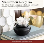 Airom White Flower, Porcelain Passive Essential Oil Diffuser With 15ML. Fixed Price $35.00.