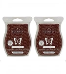 Scentsy Wax Bars Cinnamon Woods Discontinued 2 Pack, Ships W/ Icepack New. Fixed Price $17.48.