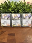 Better Homes And Gardens Cashmere Snow Scented Wax Cube 3 Packs New. Fixed Price $13.78.