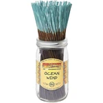 Wild Berry Ocean Wind Scent Incense Sticks Bundle Of 100. Fixed Price $22.94.