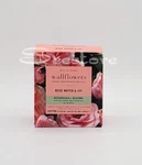 Bath & Body Works Rose Water Ivy Wallflowers Fragrance Refill Bulbs 2 Pack. Fixed Price $15.90.