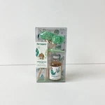Pier 1 Imports Reed Diffuser Wintergreen 0.95 Fl Oz New Box Discontinued Rare. Fixed Price $29.99.