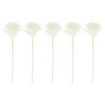 Reed Diffuser Stick Rattan 30 Piece Flower Top Essential Oil Home Office Decor. Fixed Price $13.99.