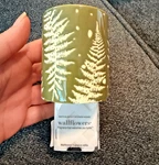Bath & Body Works Wallflowers Plug In Fern Leaf Green Shade Beautiful Nature. Fixed Price $39.99.