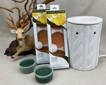 Chesapeake Bay Candle Home Scents Electric Warmer & Wax Melt Pods Pumpkin Spice. Fixed Price $49.99.