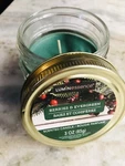 Luminescence Berries & Evergreen Scented Candle 3OZ/85GM-BRAND New-ship 24 Hrs. Fixed Price $15.88.