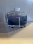 Partylite Reed Diffuser Twilight Sea Scented Oil Large Nib. Fixed Price $16.95.