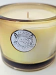Aquiesse Luxury Candle French Oak Currant New-no Box. Fixed Price $19.99.