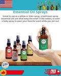 Wild Essentials Natural Oil Spray, 2 Ounce, Aromatherapy, Made In Usa. Fixed Price $20.99.