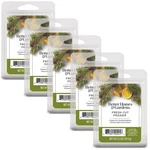 Fresh Cut Frasier Scented Wax Melts, Better Homes & Gardens, 2.5 Oz (5 Pack). Fixed Price $16.99.