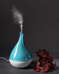 Quooz Lull Ultrasonic Aromatherapy Essential Oil Diffuser. Fixed Price $50.00.
