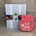 Scentsy "butterfly Season" Embossed Mini Plug-in Warmer + Bonus Bar Nob. Fixed Price $22.99.