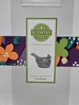 Scentsy Cardinal Bird Element Wax Warmer 2013 Retired Christmas Tested. Fixed Price $60.00.