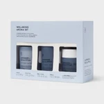 3PC Gift Set Room Spray + Diffuser Candle Lavender Eucalyptus -threshold. Fixed Price $28.00.