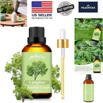 100ML Pure Camphor Essential Oil Freshening Scent For Massage & Diy Creations. Fixed Price $17.99.
