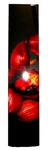 New Ashiki Dayna Decker Essence Diffuser Made In Usa Red Flowers Very Rare !!. Fixed Price $99.99.