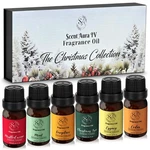Christmas Set Fragrance Oil, Mulled Wine,mint, Fireplace, Eggnog, Tree. Fixed Price $19.99.