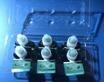 Yankee Candle Scent Plug Refills, Balsam & Cedar 6 Pk. Fixed Price $36.95.