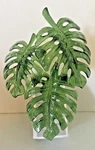 Monstera Leaves Nightlight Wallflowers Fragrance Plug Scent Cntrl Bath Body Work. Fixed Price $38.99.