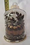 Bath & Body Works Autumn Cloche Pumpkin Nightlight Wallflower Plug. Fixed Price $17.00.