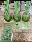 Forever Fragrant Cucumber Melon Air Freshener Scent Diffuser Joy Mangano #475. Fixed Price $20.35.