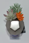 Bath & Body Works Geo Succulent Night Light Up Wallflower Fragrance Plug Holder. Fixed Price $29.99.