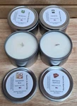 8OZ Candle, Max Scented Soy Pick Your. Fixed Price $14.00.