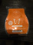 Coral Waters #65993 - Scentsy Wax Bar. Fixed Price $8.99.