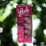 Glade Scented Oil Candles Apple Cinnamon Refills One Box 4 Pack Discontinued. Fixed Price $7.66.