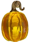 Bath & Body Works Pumpkin Wallflower Light Up Scent Control Plug White Barn. Fixed Price $15.95.