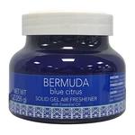 Bermuda Blue Citrus Solid Gel Air Freshener Long Lasting Odor Eliminator 9OZ. Fixed Price $7.00.