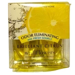 Bath & Body Works Brilliant Citrus Wallflowers Refill Discontinued. Fixed Price $17.98.