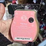 Scentsy Authentic Product Bars Wax You Choose Nos 3.2 Fl Oz Package Damage. Fixed Price $7.59.