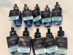 New Bath Body Works Frozen Lake Wallflower Bulb Scented Oil Refills 10. Fixed Price $69.80.