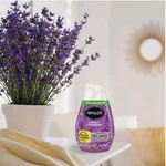 Renuzit Lovely Lavender Gel Air Freshener Odor Eliminator Multi-room 7.0 Oz. Fixed Price $40.05.